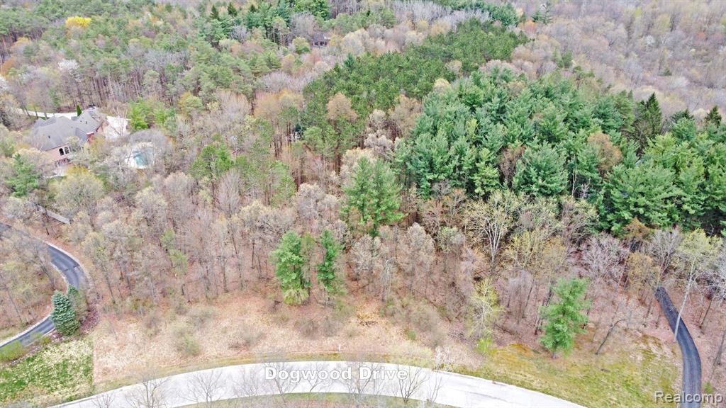 505 Bluebird Trail Property Photo 14