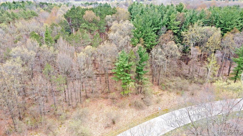505 Bluebird Trail Property Photo 15