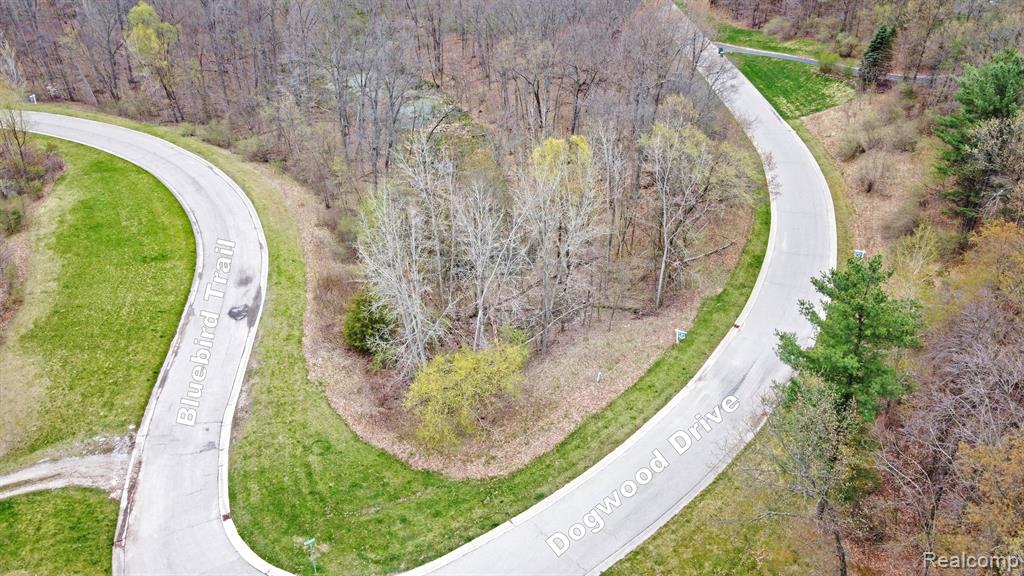505 Bluebird Trail Property Photo 17