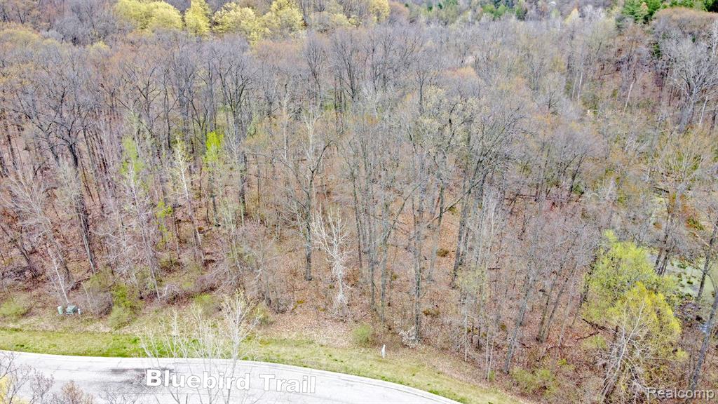 505 Bluebird Trail Property Photo 19