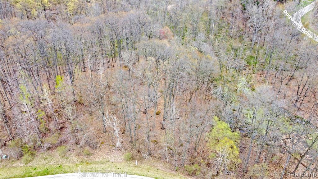 505 Bluebird Trail Property Photo 20
