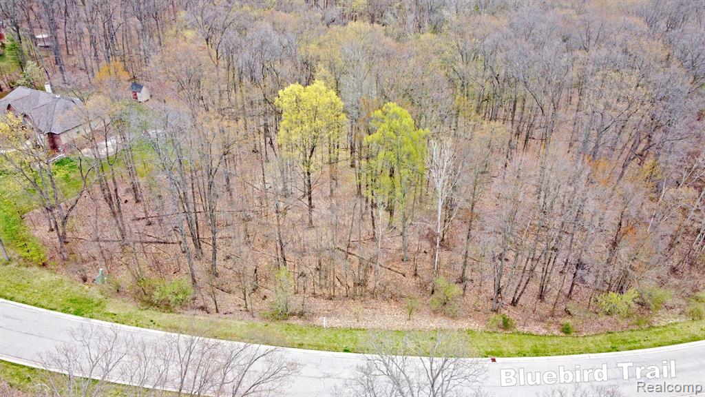 505 Bluebird Trail Property Photo 21