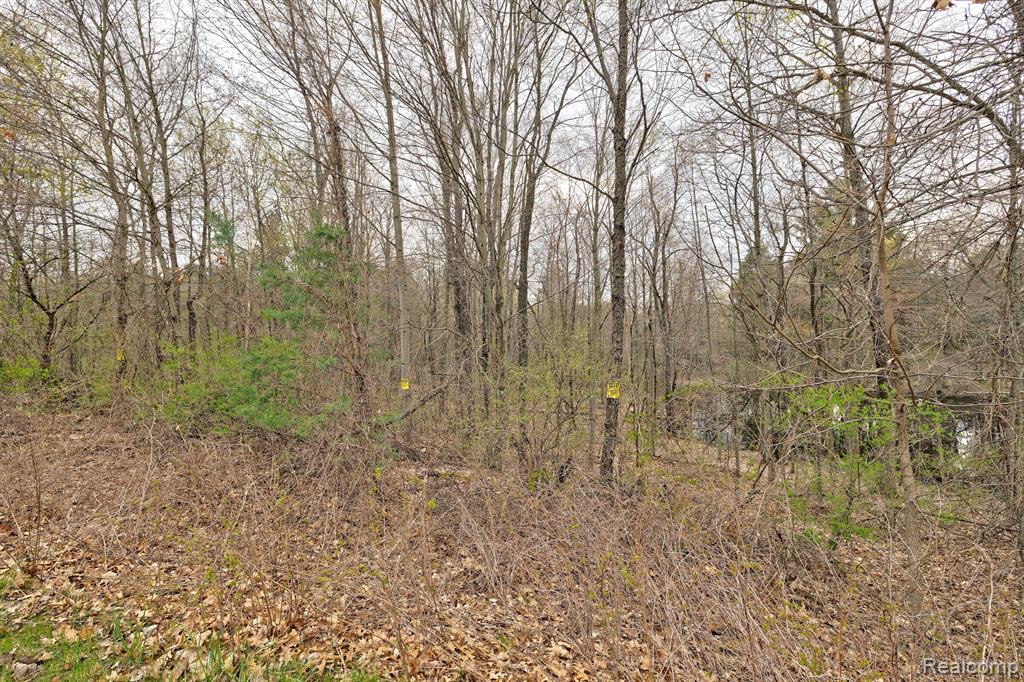 505 Bluebird Trail Property Photo 26