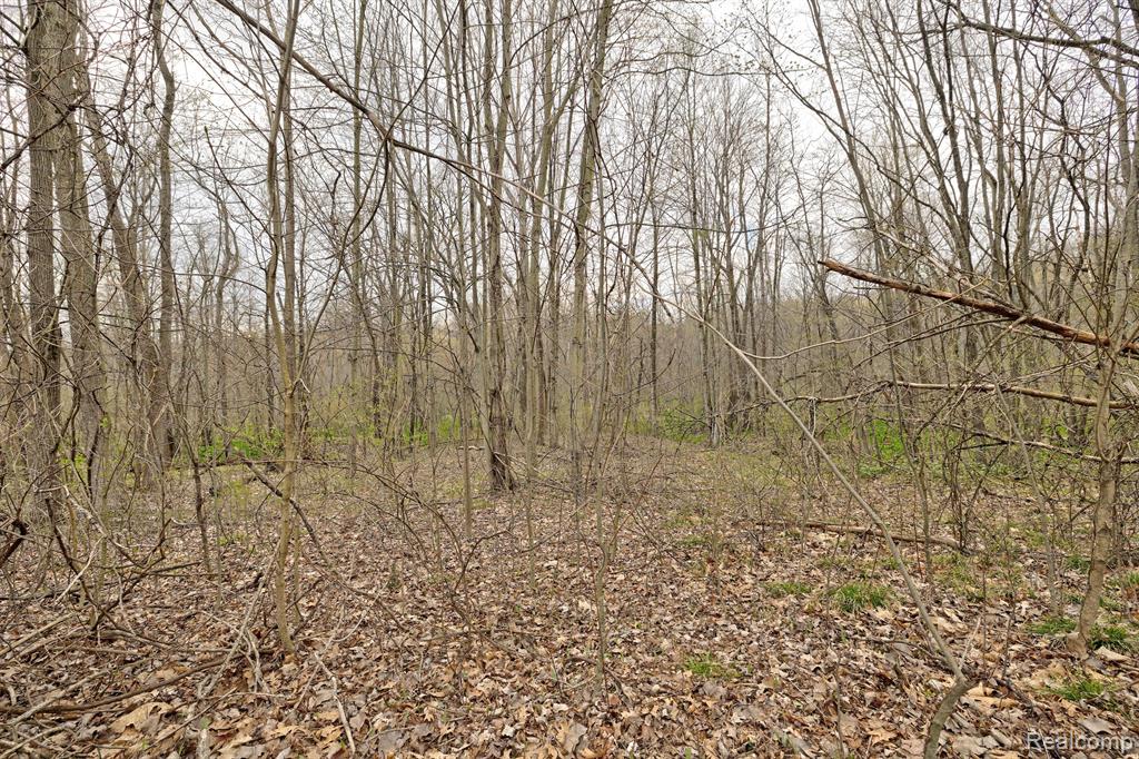 505 Bluebird Trail Property Photo 30