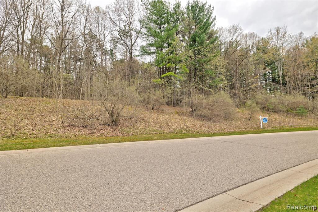 505 Bluebird Trail Property Photo 31