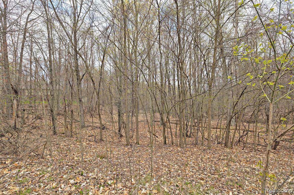 505 Bluebird Trail Property Photo 35
