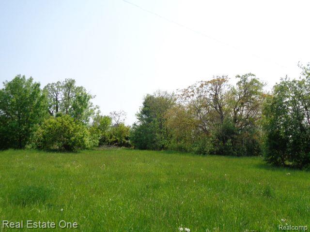 1051 Concord Street Property Photo 6