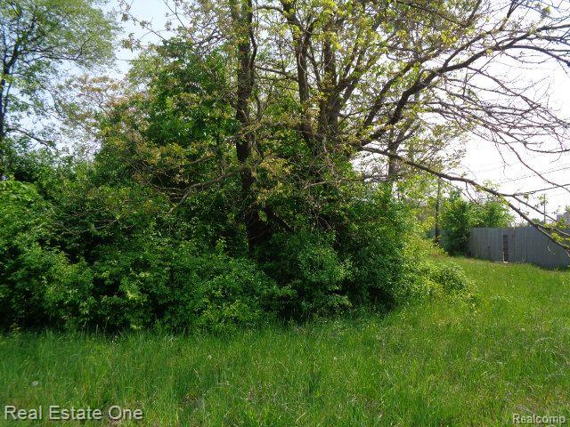 1051 Concord Street Property Photo 7