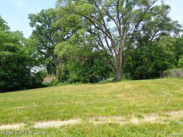 14605 Dacosta Street Property Photo 2