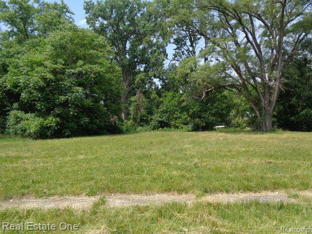 14605 Dacosta Street Property Photo 3