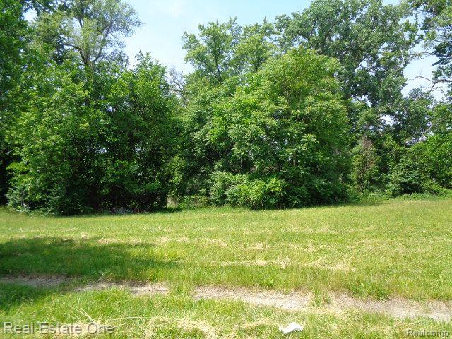 14605 Dacosta Street Property Photo 4