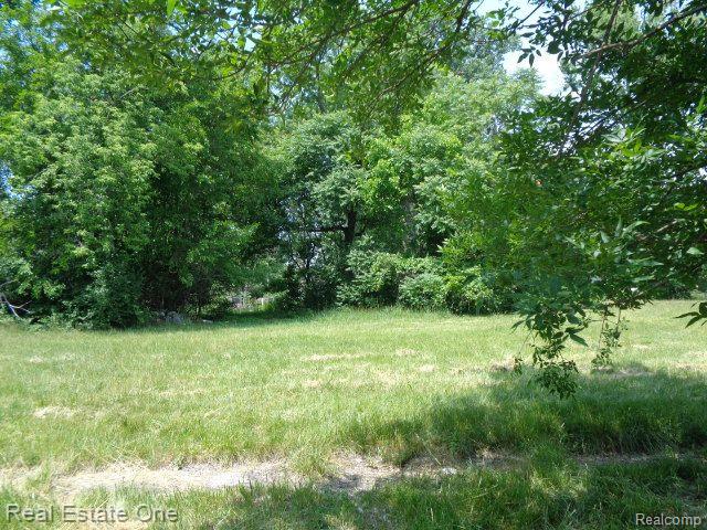 14605 Dacosta Street Property Photo 5