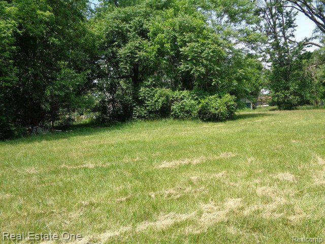 14605 Dacosta Street Property Photo 6