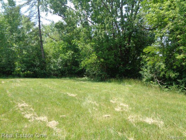 14605 Dacosta Street Property Photo 7