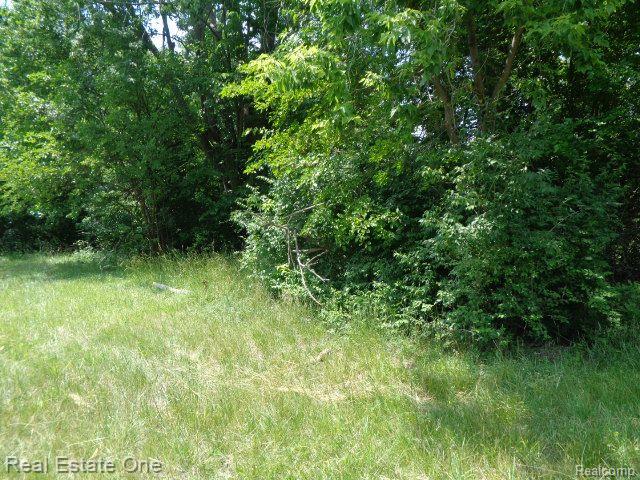 14605 Dacosta Street Property Photo 8