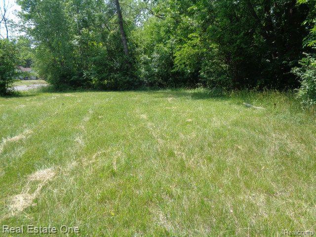 14605 Dacosta Street Property Photo 10