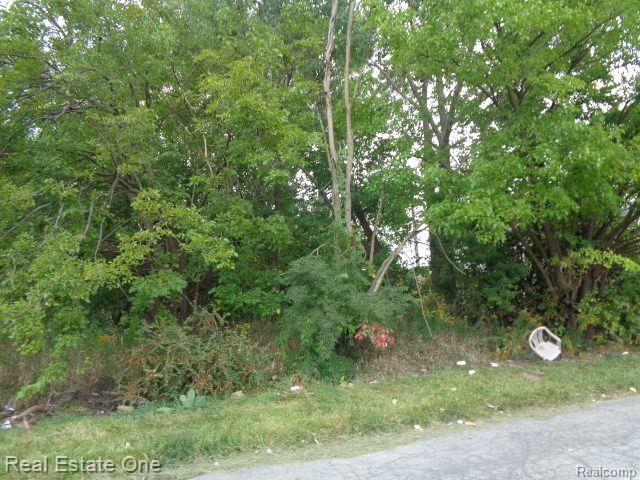 2628 Hunt Street Property Photo 3