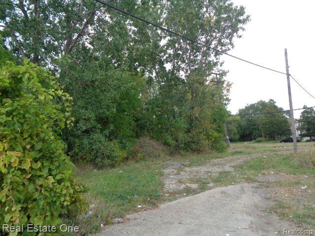 2628 Hunt Street Property Photo 4