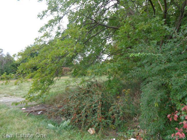 2628 Hunt Street Property Photo 6