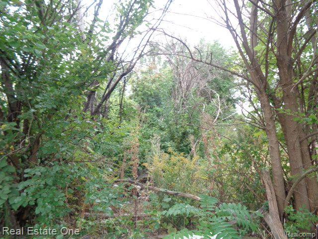 2628 Hunt Street Property Photo 7