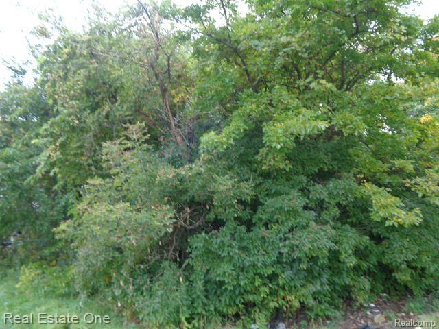 2628 Hunt Street Property Photo 12