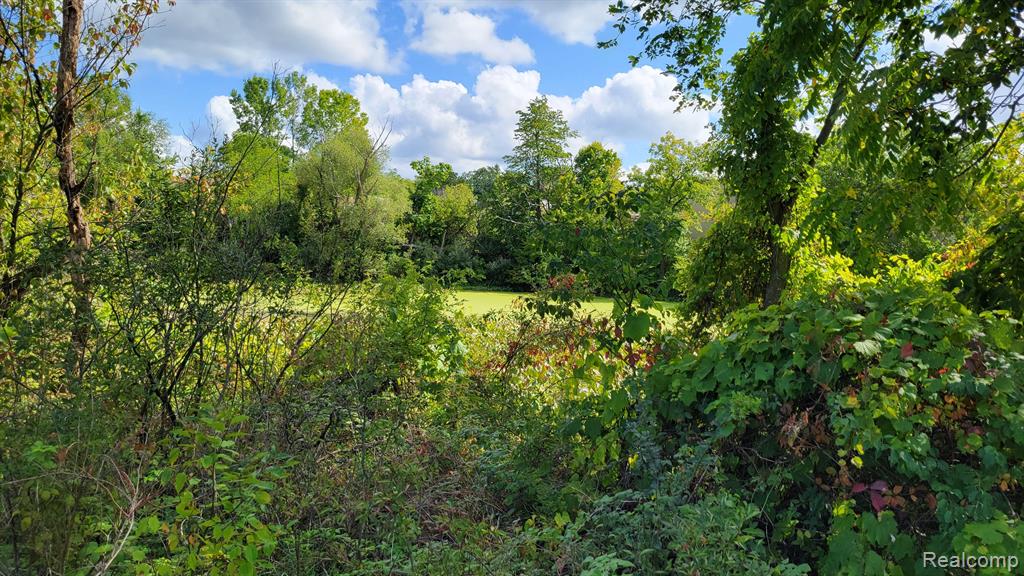 427 N Steer Street Property Photo 33