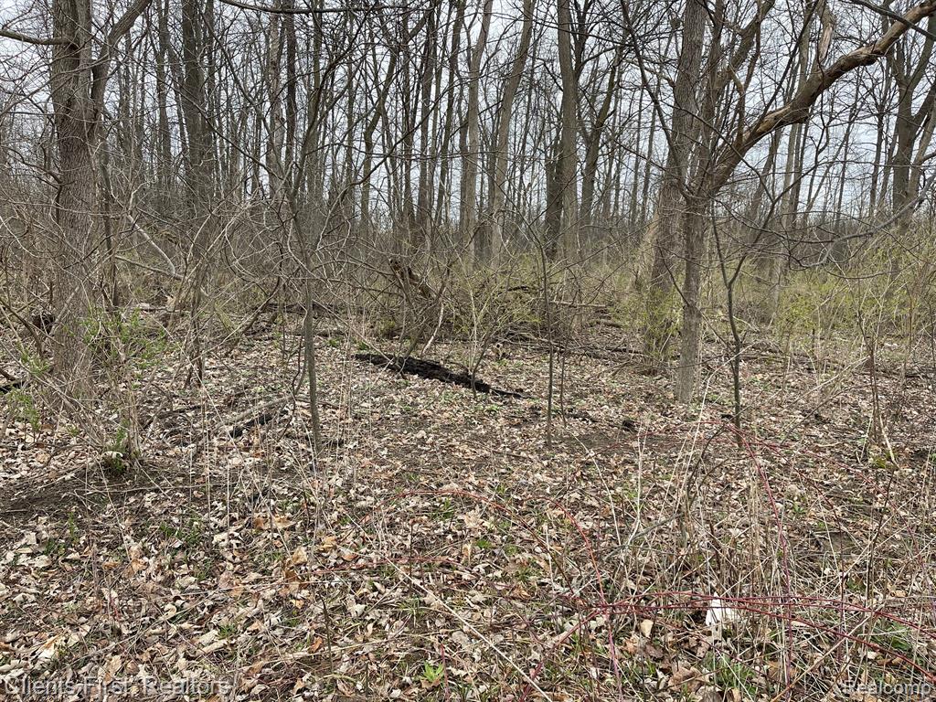 0 Ford Rd. Road Property Photo 1