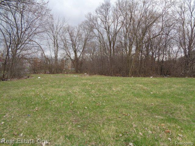 1749 Collingwood Street Property Photo 6
