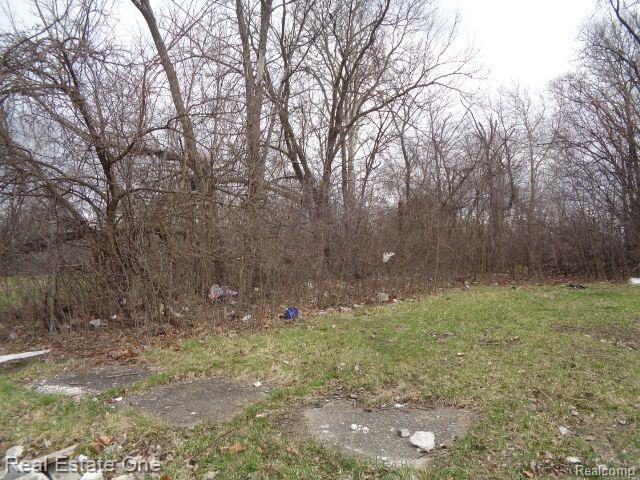 1749 Collingwood Street Property Photo 8