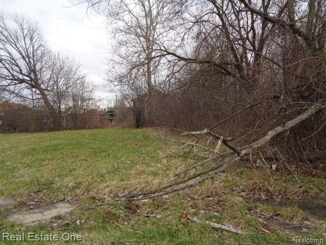 1749 Collingwood Street Property Photo 9