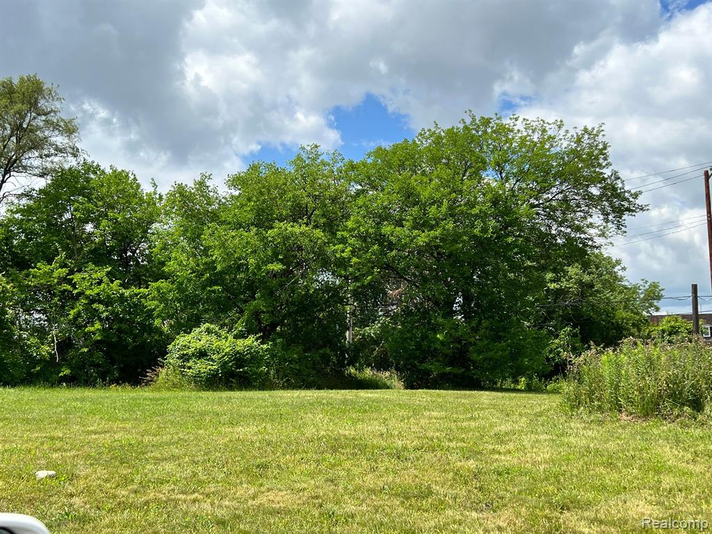 571 E Edsel Ford Freeway Property Photo 1