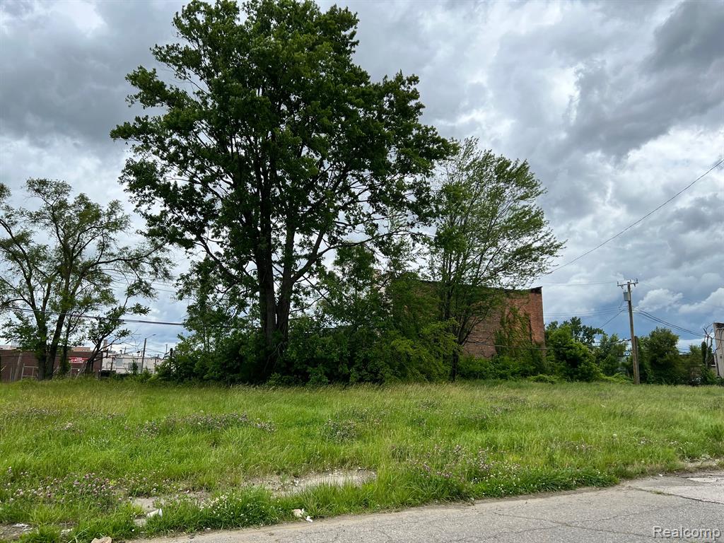 14267 Fordham Street Property Photo 2