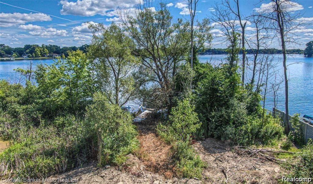 2577 Midwood Property Photo 7