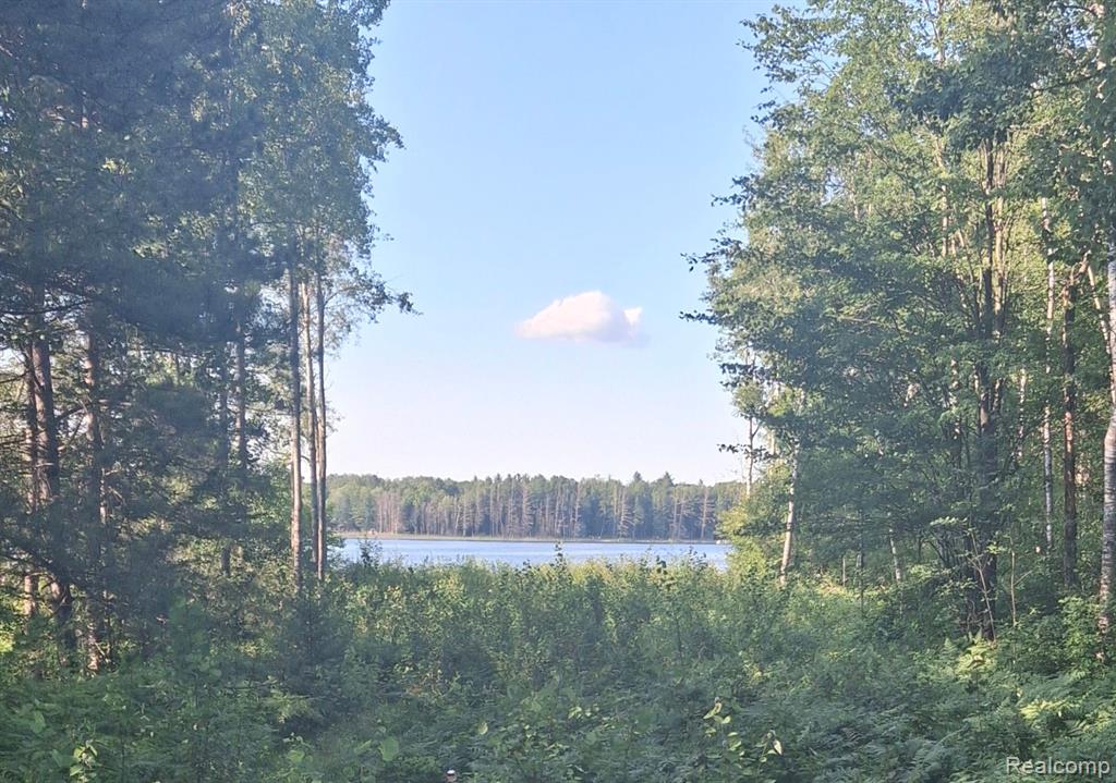 Lot 101 Breezewood Drive Property Photo 1