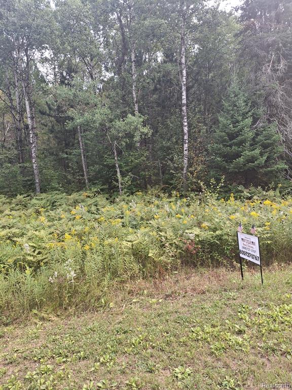 Lot 98 Breezewood Drive Property Photo 8