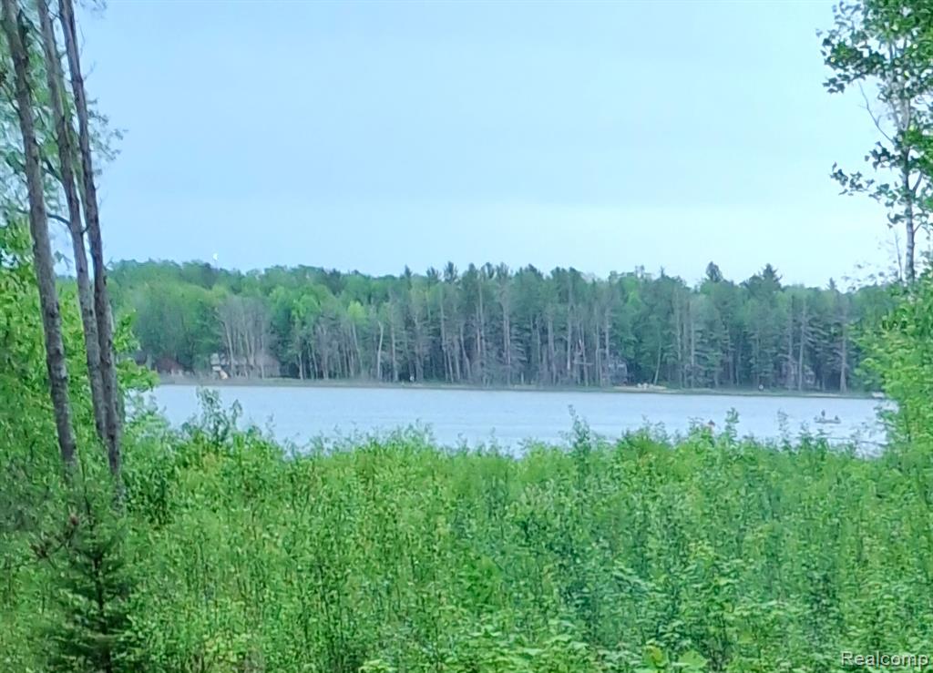 Land 99 Breezewood Drive Property Photo 1