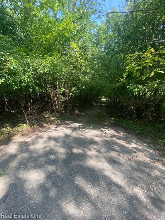 0000 Blue Jay Way Property Photo 3