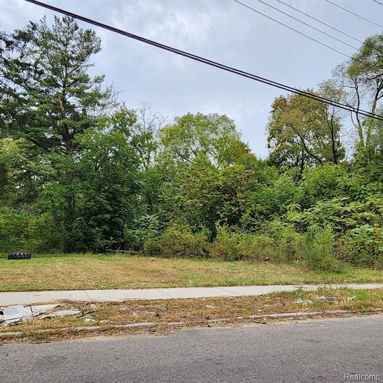 17609 TRINITY Street Property Photo 1