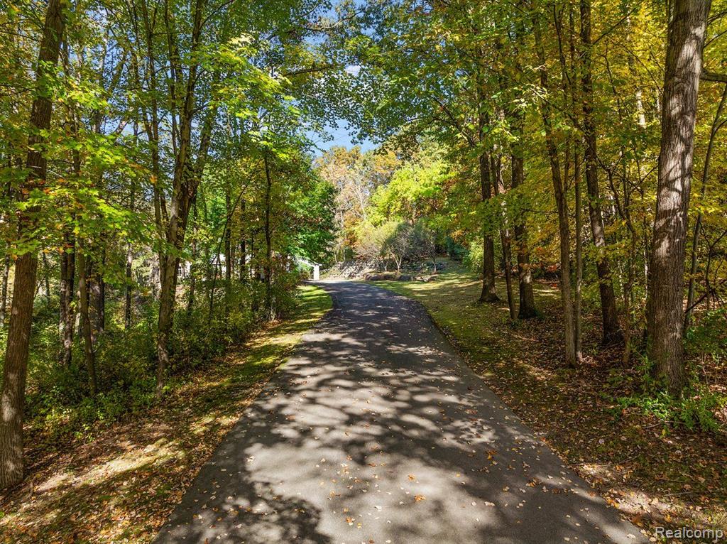 2541 Plum Creek Court Property Photo 16
