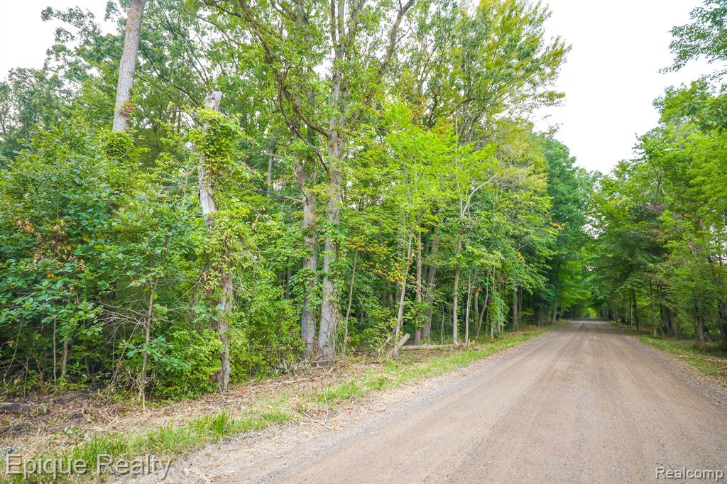 00tbd Hagerman Road Property Photo 2