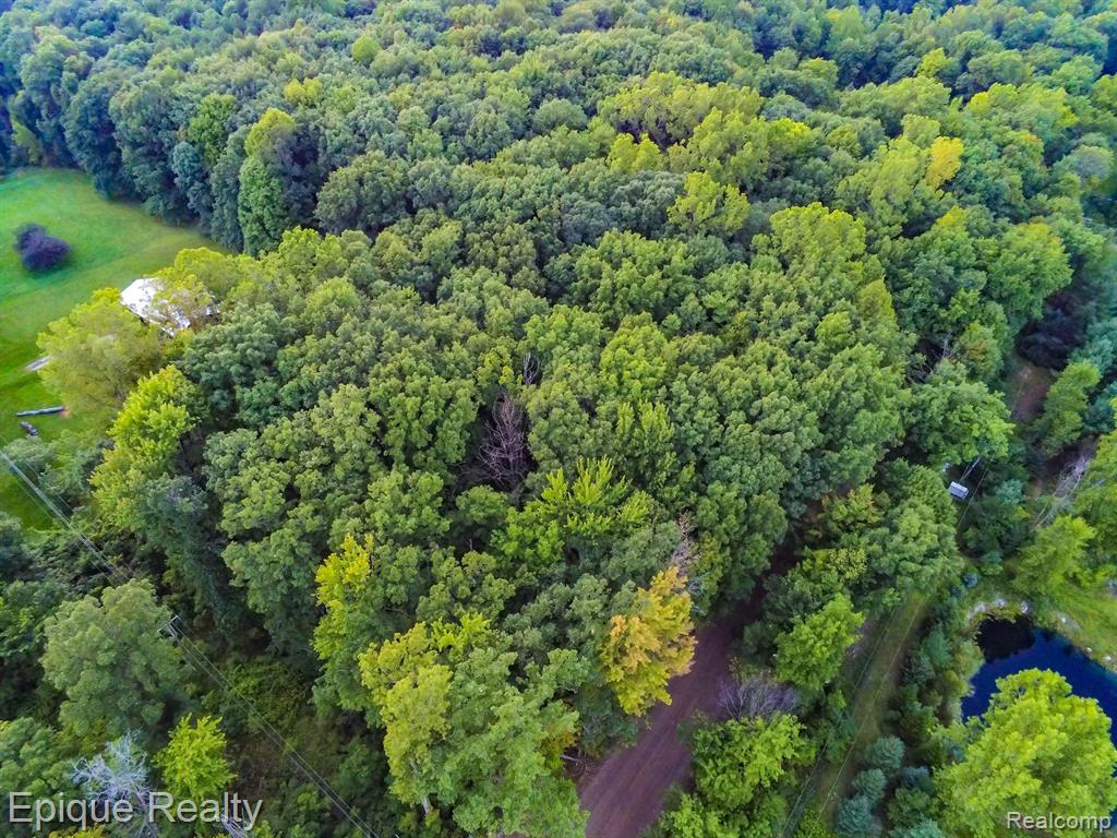 00tbd Hagerman Road Property Photo 6