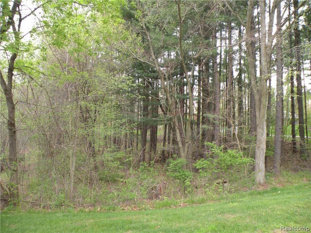 Lot 33 Alta Vista Drive Property Photo 3