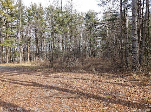 11461 White Lake Road Property Photo 2