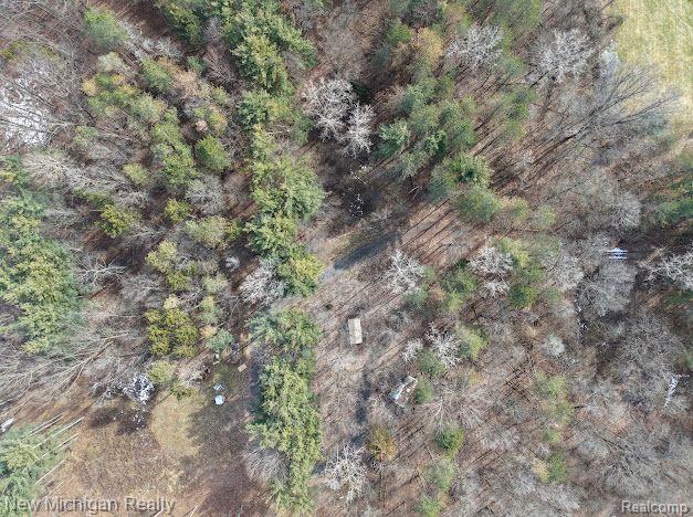 11461 White Lake Road Property Photo 6