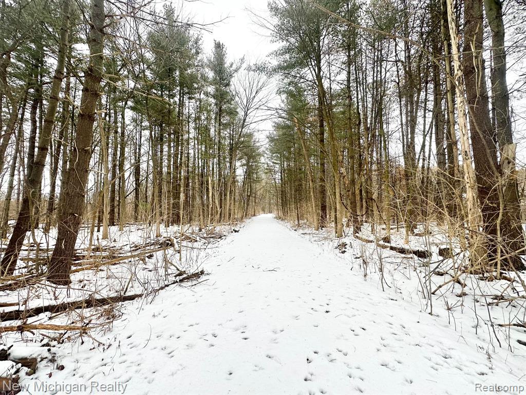 11461 White Lake Road Property Photo 9