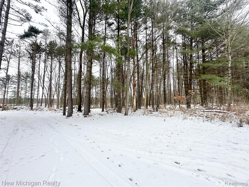 11461 White Lake Road Property Photo 17