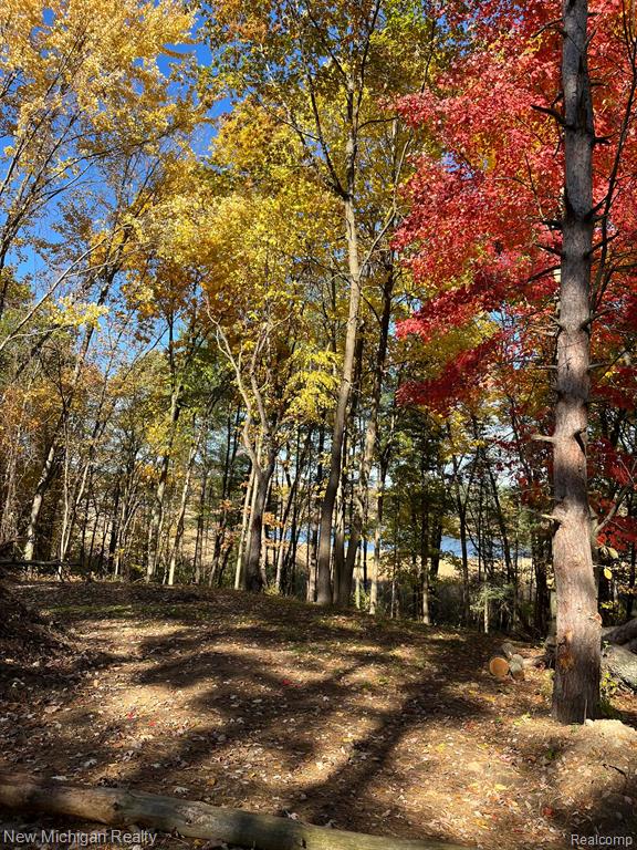 11461 White Lake Road Property Photo 19