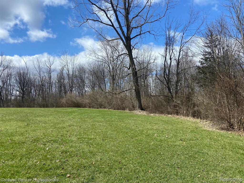 8899 Dwyer Road Property Photo 37