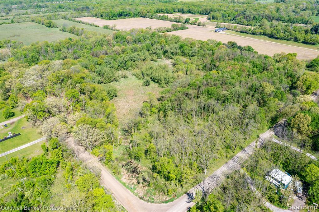 8899 Dwyer Road Property Photo 46