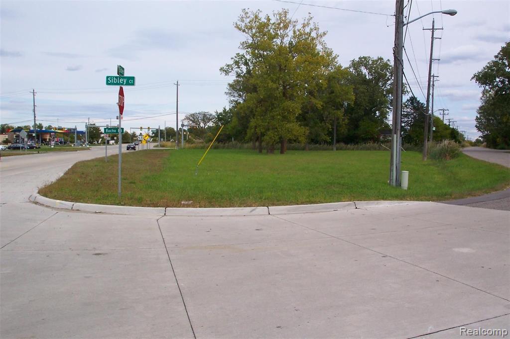 Vacant Sibley Road Property Photo 6